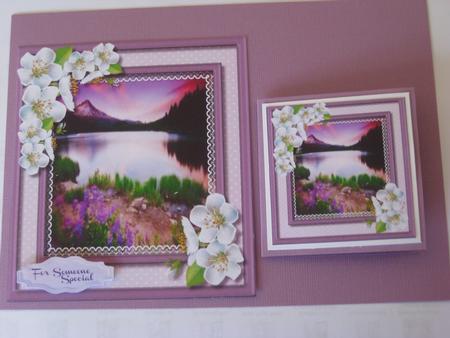 Beautiful Pink Sky and Blossom  by Ellen Morgan