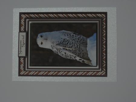 Beautiful Snow Owl , Card and Topper by Ellen Morgan
