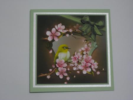 Cherry Blossoms for You 8x8 by Ellen Morgan