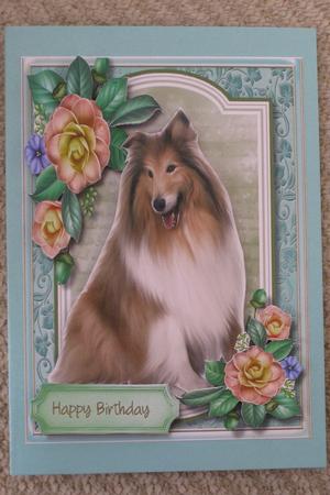 Beautiful Border Collie with Camellias  by Ellen Morgan