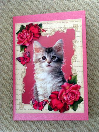 Gorgeous Brown Kitten with Hot Pink Roses by Ellen Morgan