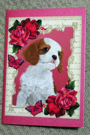 Beautiful Cavalier with Hot Pink Roses by Ellen Morgan
