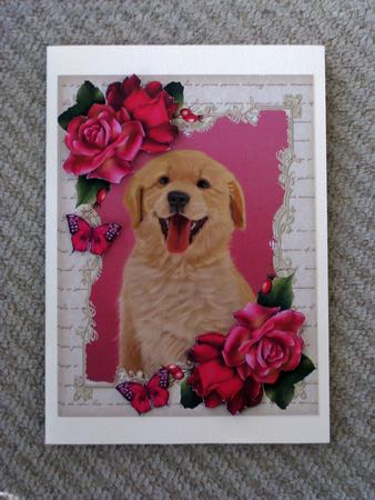 Gorgeous Labrador with Hot Pink Roses by Ellen Morgan