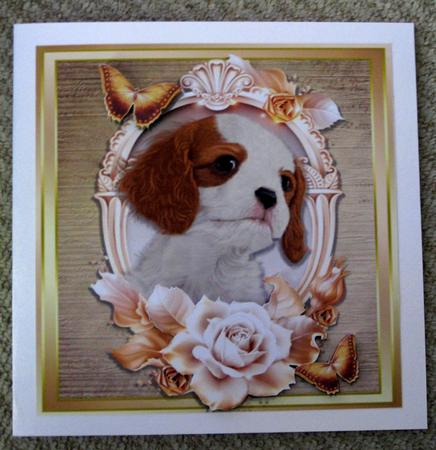 Beautiful King Charles with Cream & Gold Roses by Ellen Morgan