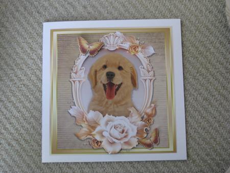 Beautiful Labrador with Cream & Gold Roses by Ellen Morgan