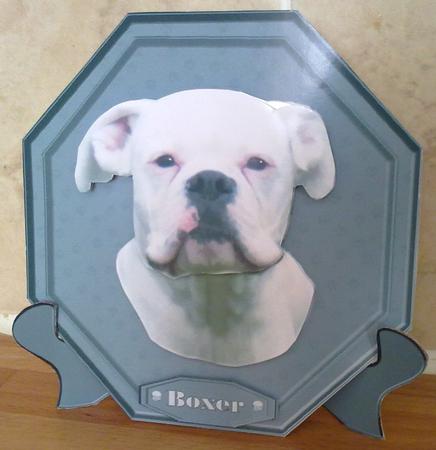 Boxer Dog ,white, Plaque & Stand by Emma Duddridge