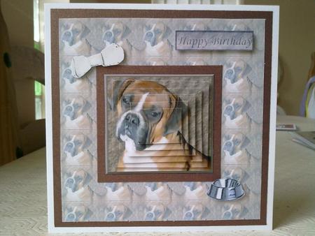 Boxer Dog Portrait Pyramid with Background by Emma Duddridge