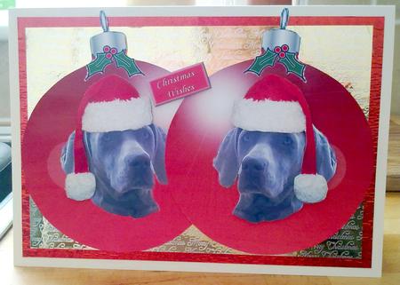 Weimaraner Red Christmas Bauble by Emma Duddridge