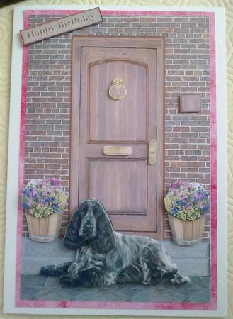 Cocker Spaniel ,black & White,on a Door Step by Emma Duddridge