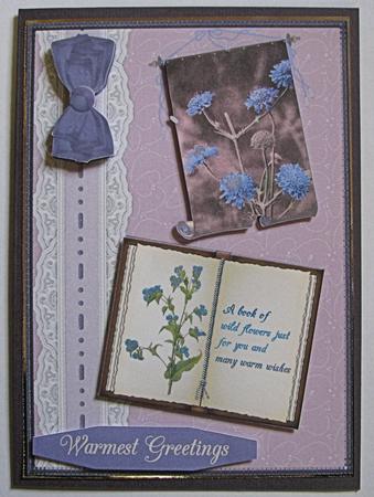 A Book of Wild Flowers by Emma Gleave