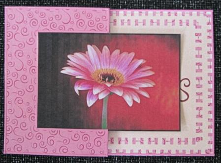 Two A6 Fold Back Cards - Pink Daisy by Emma Gleave
