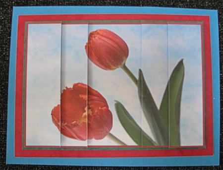 Beautiful Red Tulips Side Stacker by Emma Gleave