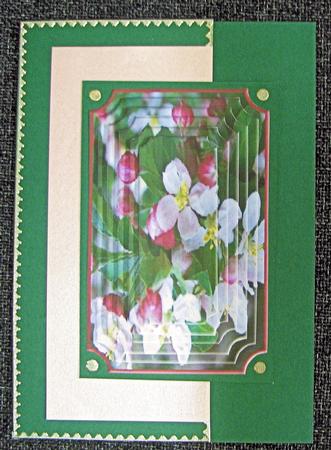 Crab Apple Blossom Pyramage by Emma Gleave