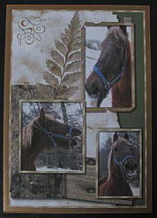Horse Card Topper by Emma Gleave