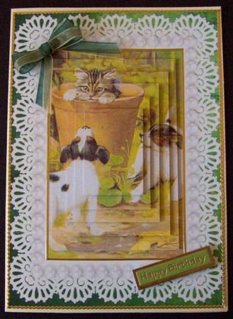 Kitten Hiding from Puppy Dogs A5 Pyramid Card by Emma Queenin