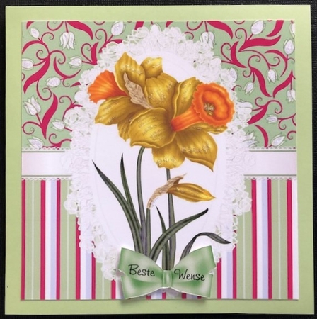 pretty daffodils on lace pink floral/stripe with bows 8x8 by Engela Conradie