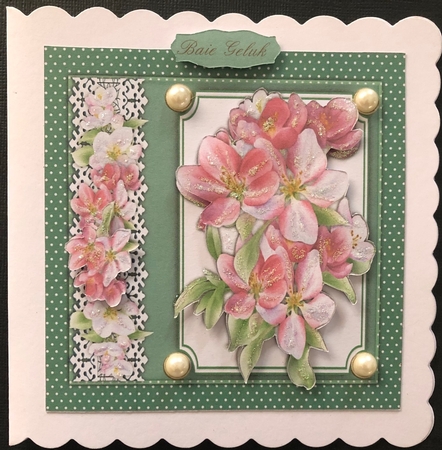 Beautiful Apple Blossom 7x7  by Engela Conradie