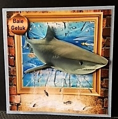 dont tap on the glass by Engela Conradie