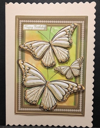 Golden Butterfly on Autumn Colour by Engela Conradie