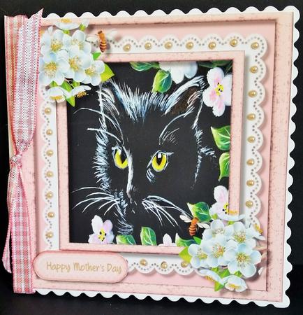 Stunning Black Cat in the Blossoms,  by Engela Conradie