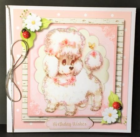 Adorable Little French Poodle  by Engela Conradie