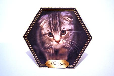 Little Cat is Missing You Shaped Card by Erica D Philip