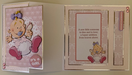 Baby Girl Dudess Insert by Erika Sissons