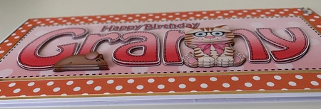 Large DL Happy Birthday GRANNY 3D decoupage with Cute Little Cat by Erika Sissons