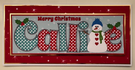 Snowman CALLIE large dl insert by Erika Sissons