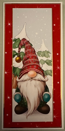 Alfred the Christmas Gnome Large DL by Erika Sissons