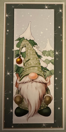 Alfred the Christmas Gnome Green Large DL by Erika Sissons