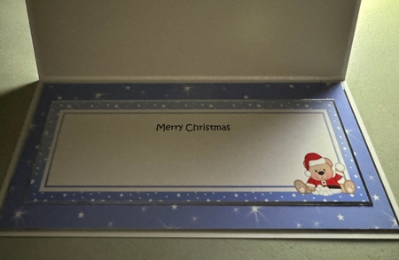 Large DL Merry Christmas GRANDMA insert with Teddies by Erika Sissons