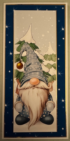 Alfred the Christmas Gnome Blue Large DL by Erika Sissons