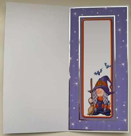 Halloween Gnome Witch Large Vertical DL by Erika Sissons