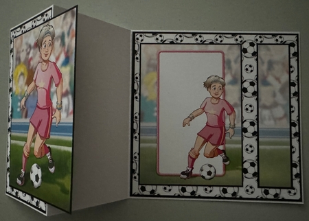 Womens Football Dudess Pink Strip Insert by Erika Sissons
