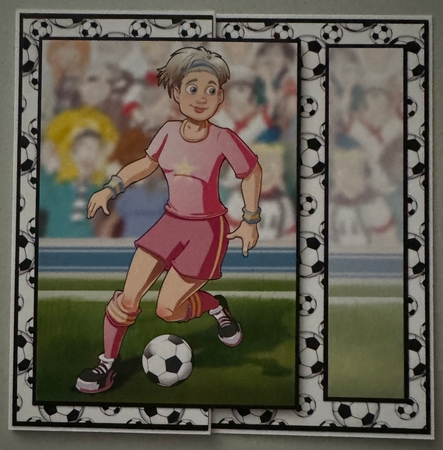 Womens Football Dudess Pink Strip Insert by Erika Sissons