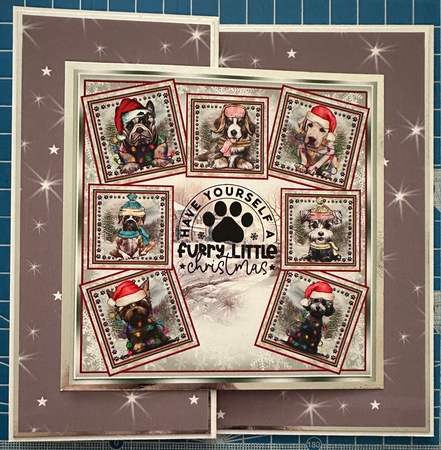 Have Yourself A Furry Little Christmas  by Erika Sissons