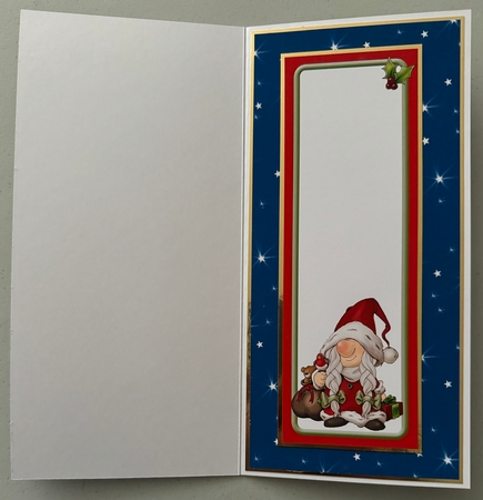 Mrs Christmas Gnome Large Vertical DL Insert by Erika Sissons
