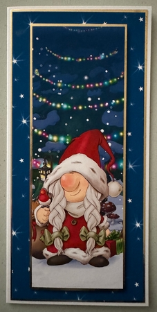 Mrs Christmas Gnome Large Vertical DL Insert by Erika Sissons