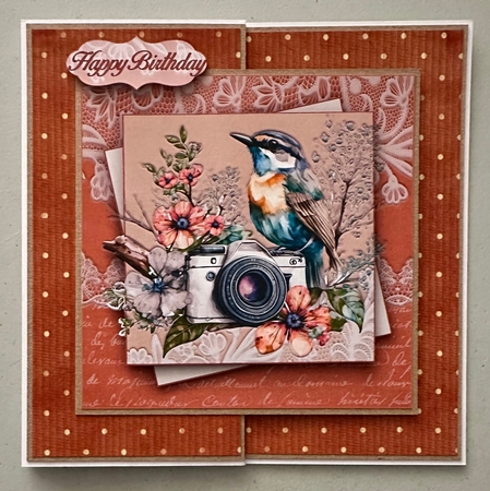 Bird Watching Bumper Kit #1 by Erika Sissons