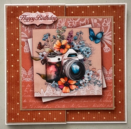 Butterflies & Cameras Bumper Kit #1 by Erika Sissons