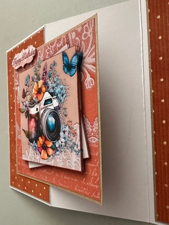 Butterflies & Cameras Bumper Kit #1 by Erika Sissons