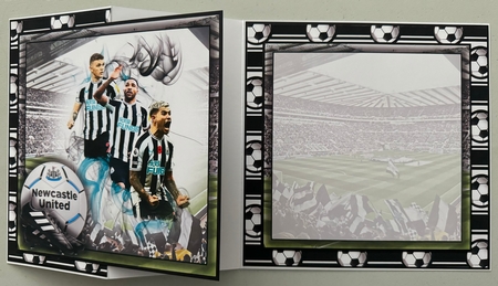 Newcastle United FC Bumper  Kit   by Erika Sissons