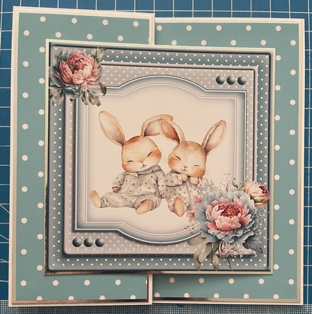 Twin Bunny Baby Boys Insert by Erika Sissons