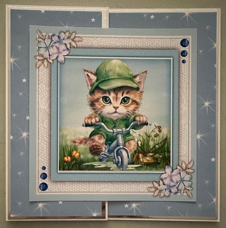 8x8 Mini Kit, Gorgeous Kitty-Kat on a Bike 1 by Erika Sissons