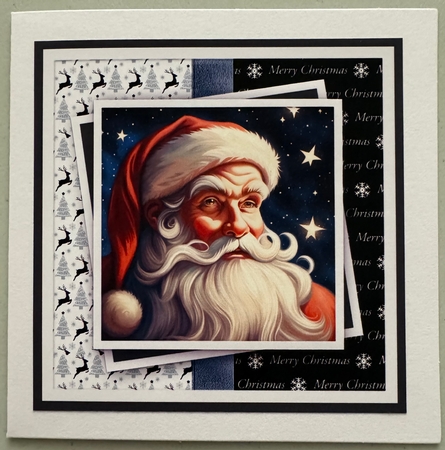 The Christmas Star  by Erika Sissons