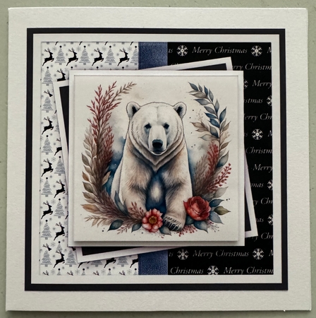 Christmas Polar  by Erika Sissons