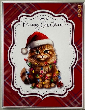 Cats In Christmas Lights Mini Kit by Erika Sissons
