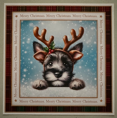 Christmas puppies by Erika Sissons