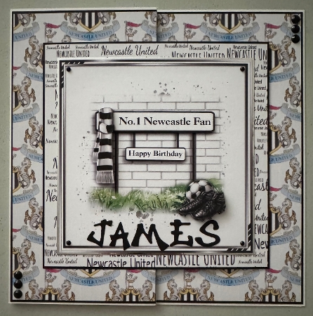 football Newcastle BP by Erika Sissons
